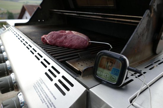 TFA Kernthermometer met sonde digitaal grill-BBQ - Oosterlinck