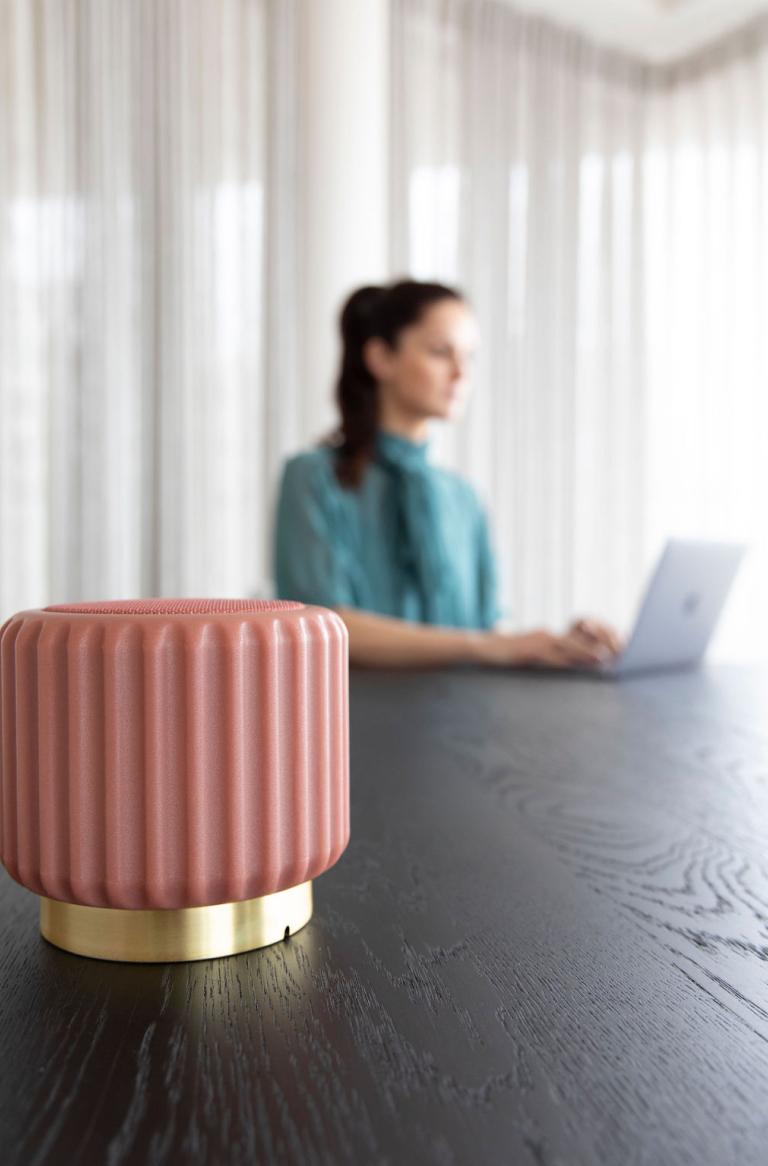 Atelier Pierre Dentelles Speaker -50%