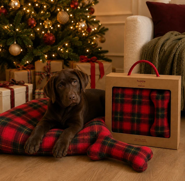Menza hondendeken en speeltje giftset met zachte deken en knuffelspeeltje voor huisdieren, geschikt voor honden.