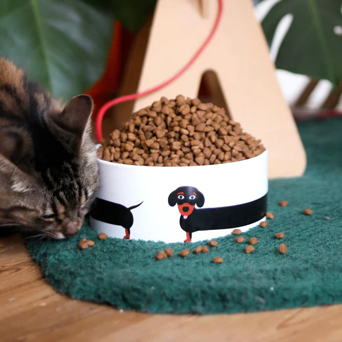 Fluid Market bowl Teckel