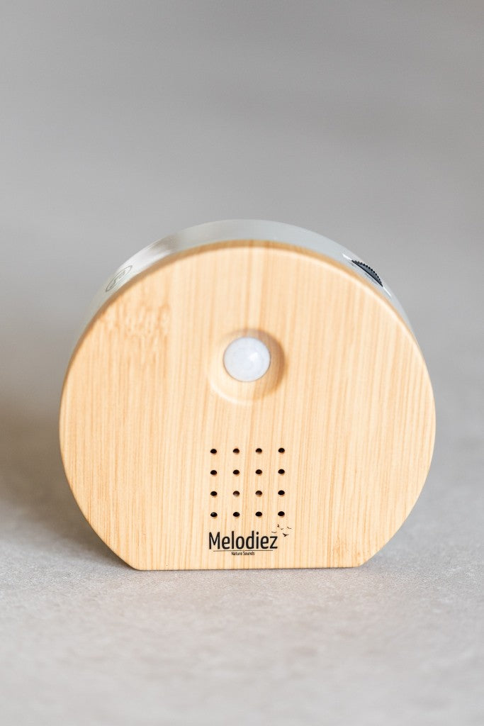Melodiez Nature Box
