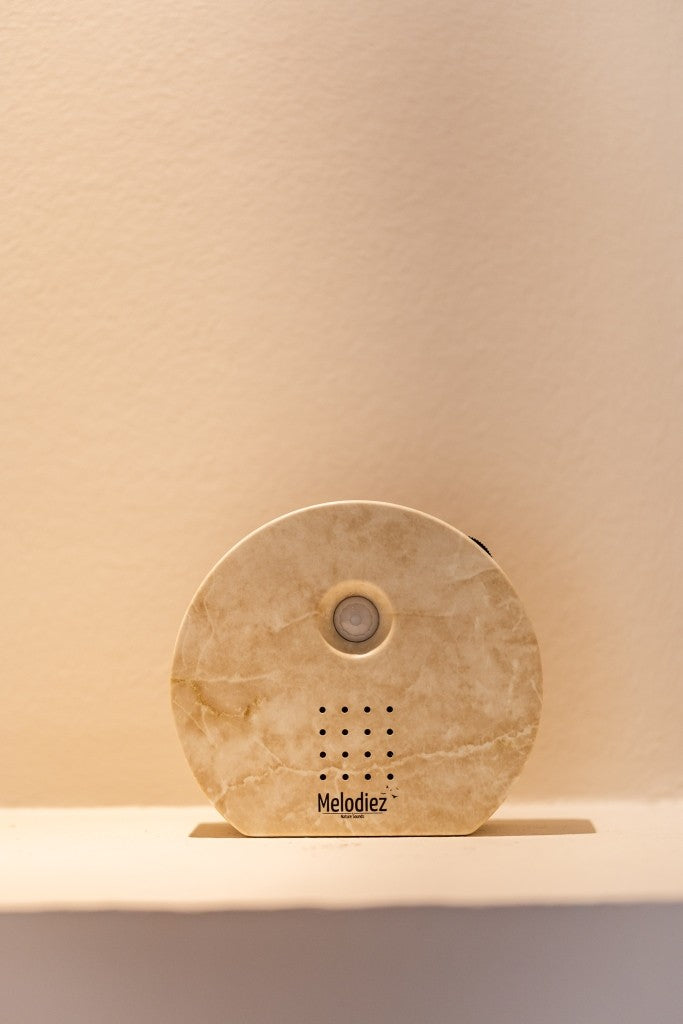 Melodiez Nature Box
