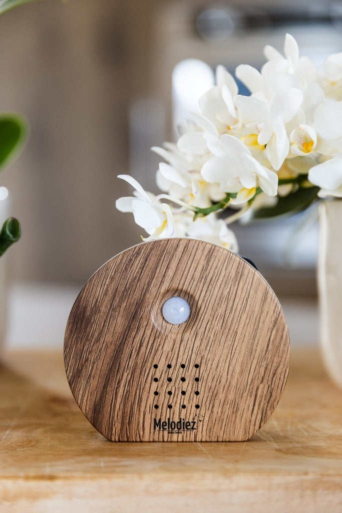 Melodiez Nature Box