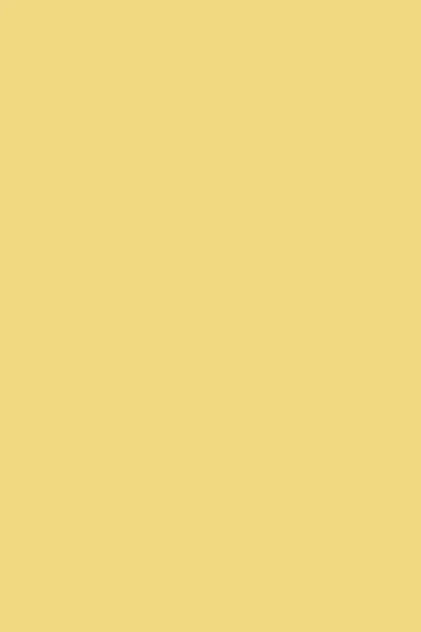 Mustard Made locker Shorty butter - Oosterlinck