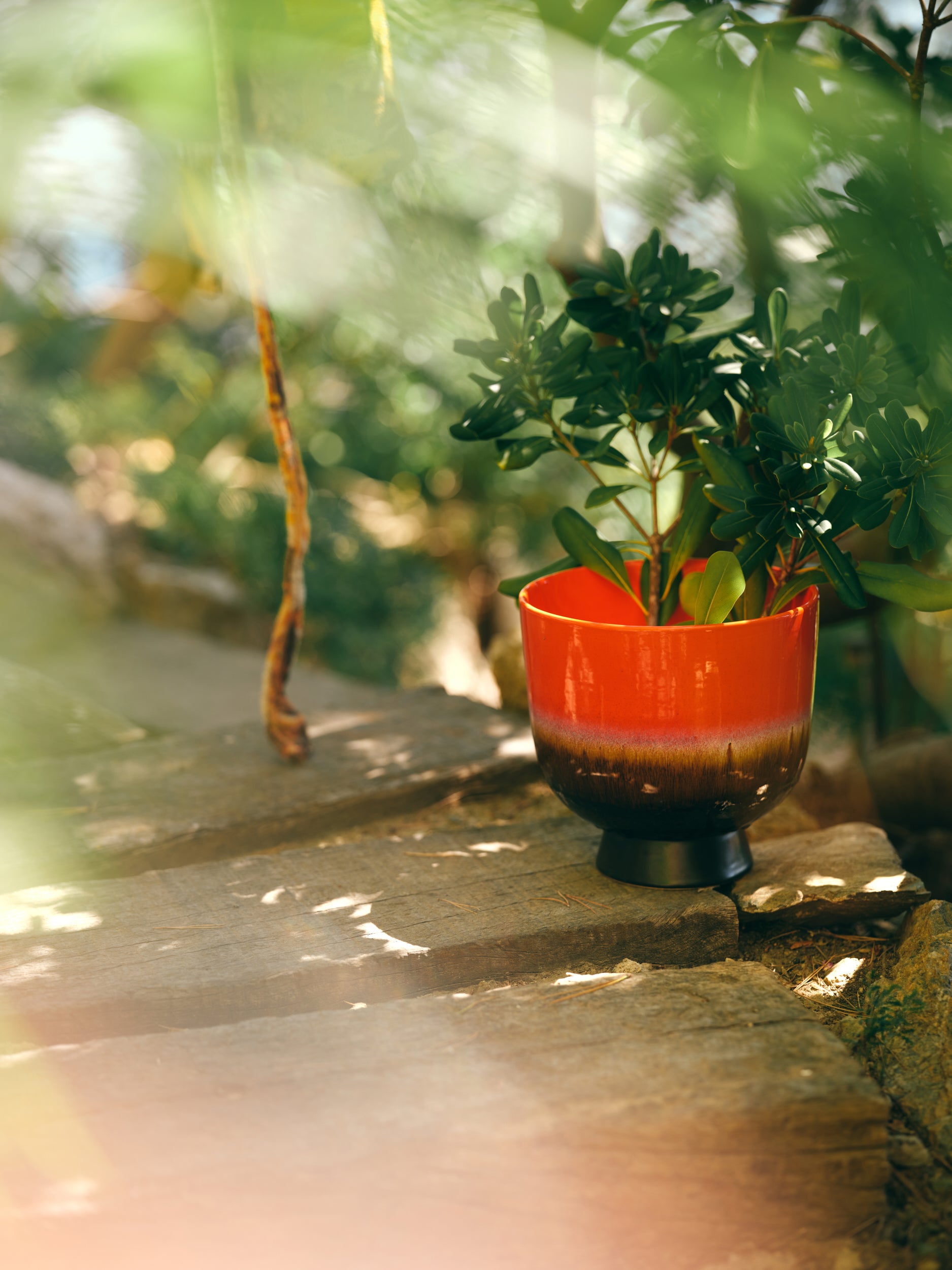 HK Living Retro flower pot fig - Oosterlinck