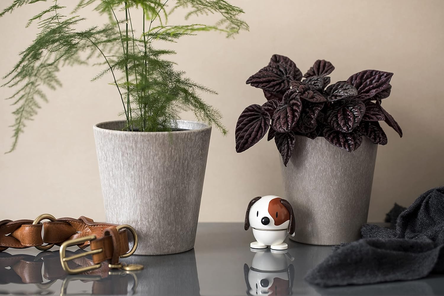 Hoptimist Dieren Hoptimist Hond of Kat - Oosterlinck Home