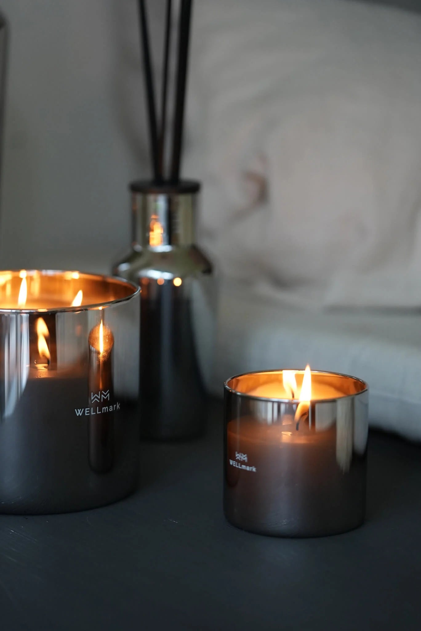 Wellmark Geurstokjes of geurkaars Bold Future -50% - Oosterlinck Home