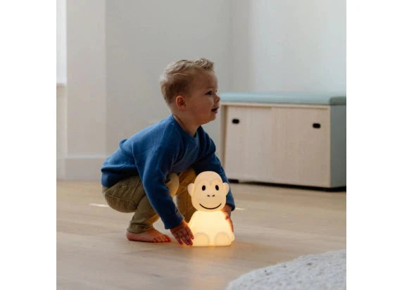 Mr Maria Leeuw first light - Oosterlinck