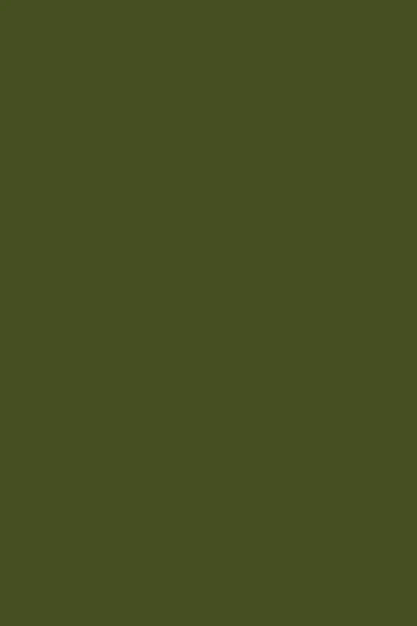 Mustard Made The Kit hangkast olive - Oosterlinck