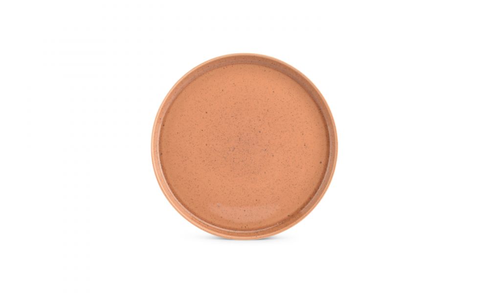 Salt & Pepper Blush plat bord 27.5cm - 4+2 GRATIS - Oosterlinck