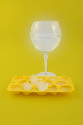 Dotz silicone ijsblokjesvorm zomerfruit