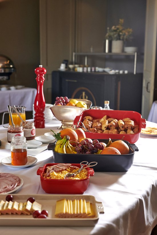Peugeot Appolia ovenschotel vierkant