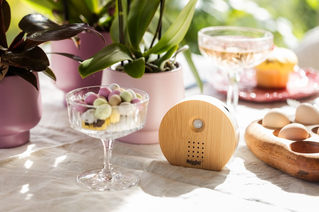 Melodiez  Nature Box