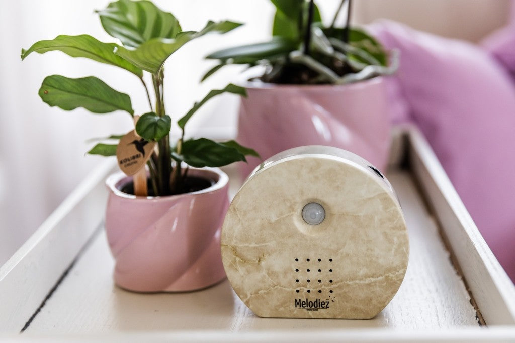 Melodiez  Nature Box