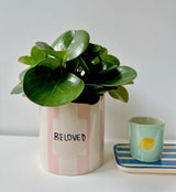 And Nook bloempot Beloved - Oosterlinck