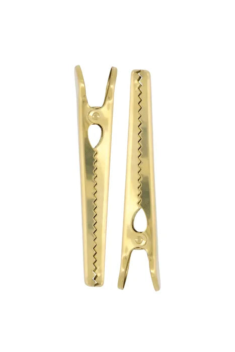 ZUSSS - Metalen clips goudkleurig - set van 2 - Oosterlinck