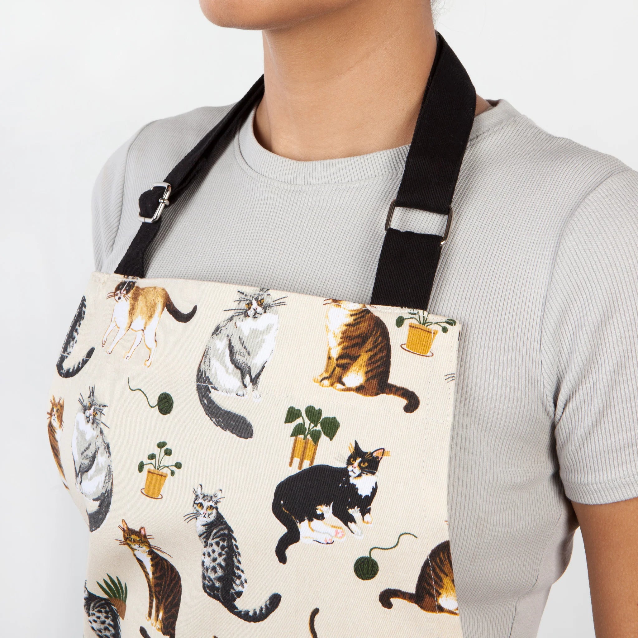 Danica   Schort cat collective