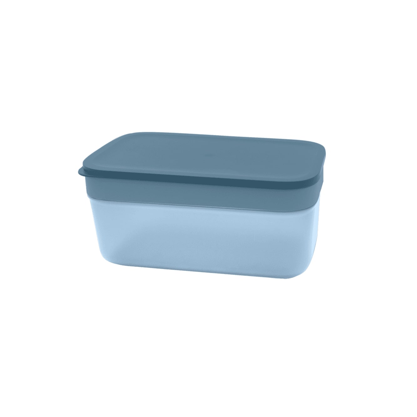 Dotz  Ice Cube Tray met box - Oosterlinck
