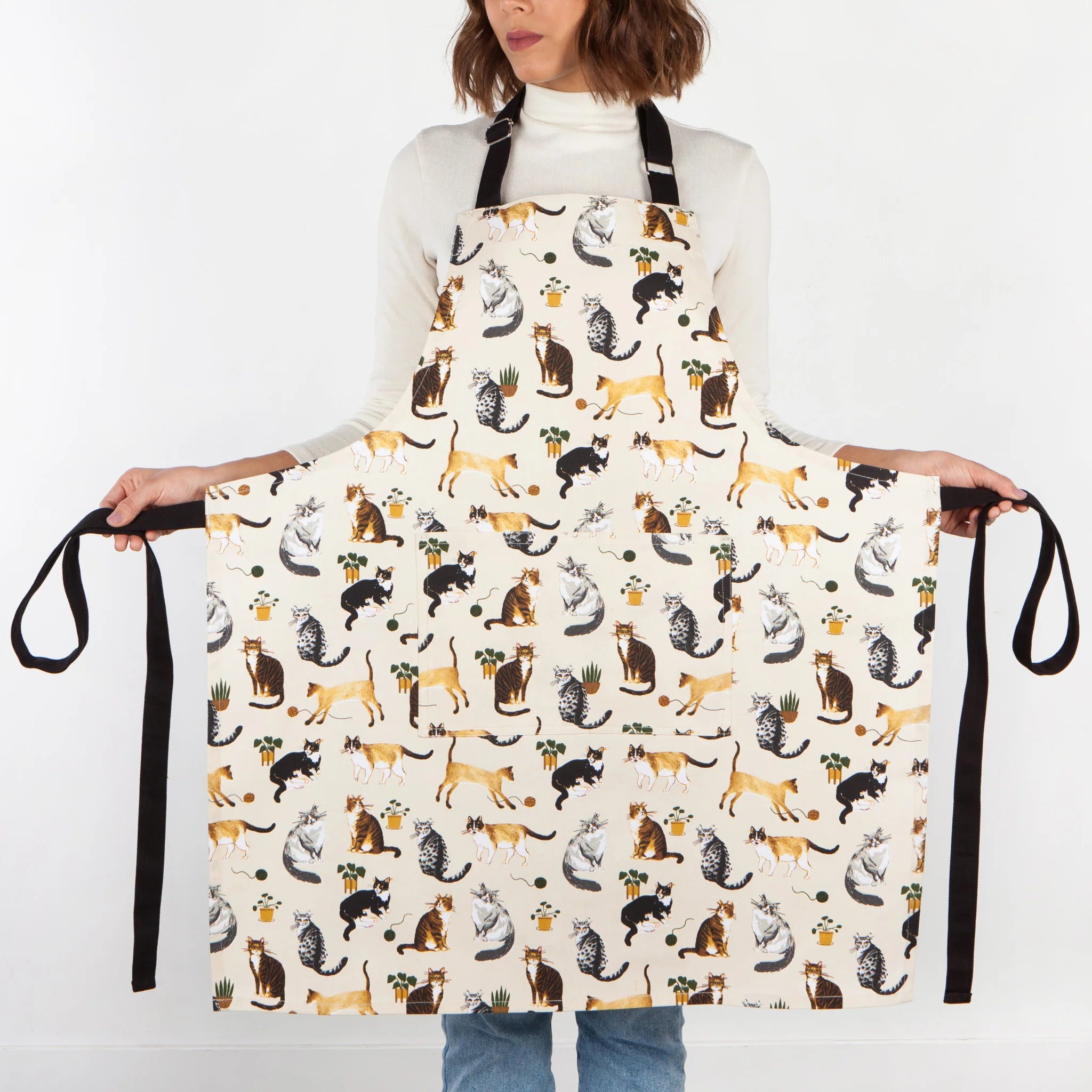 Danica   Schort cat collective