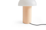 Hay PC Portable lamp - diverse varianten - Oosterlinck