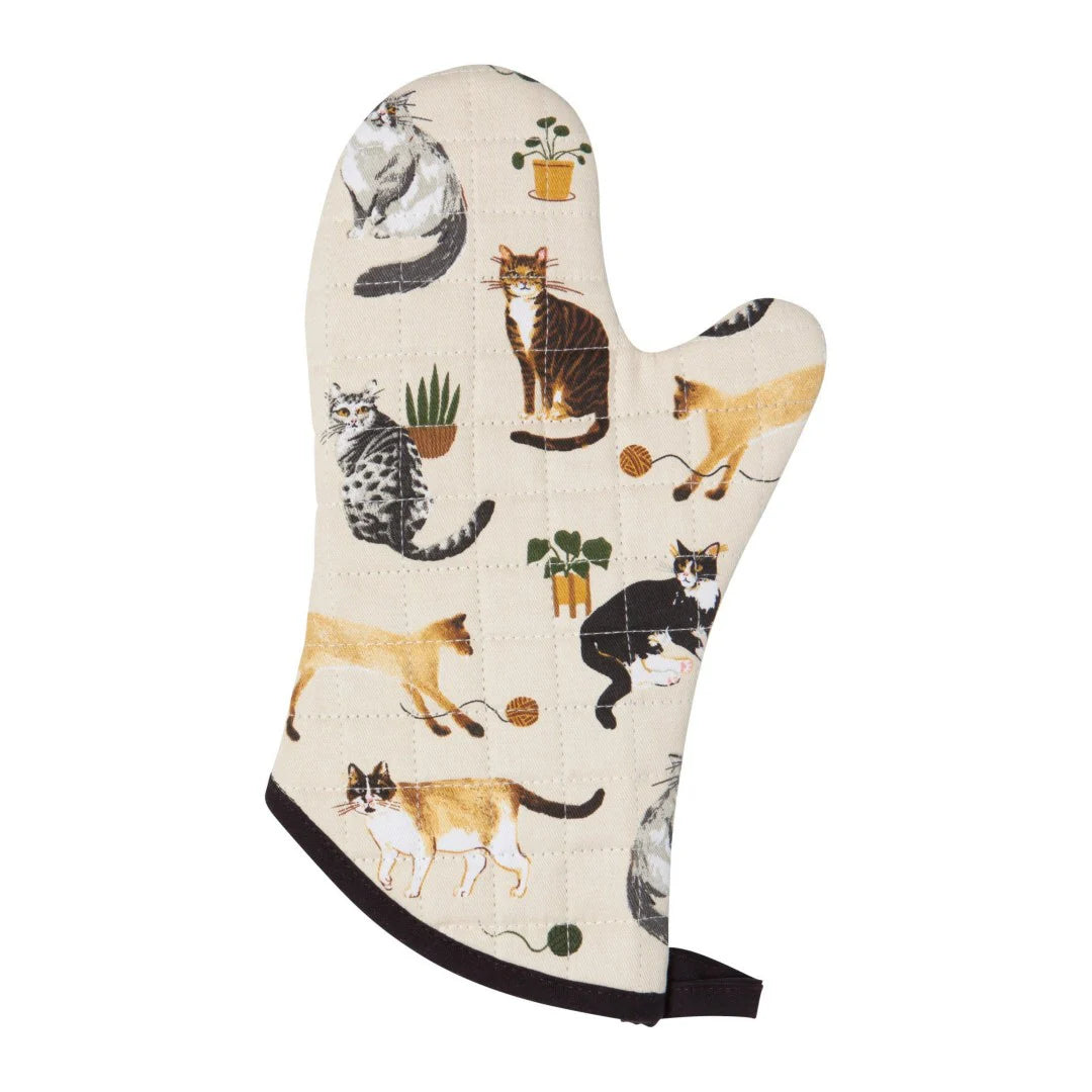 Now Design   Pannenlap Katten