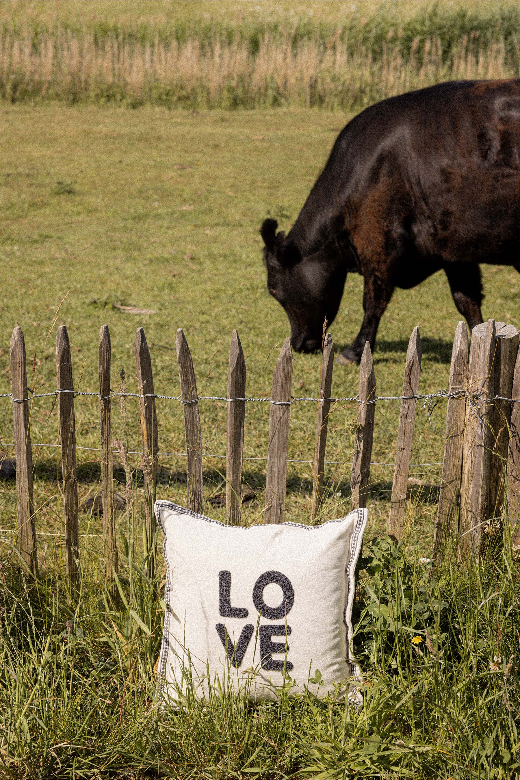 ZUSSS  Kussen Love - Oosterlinck Home
