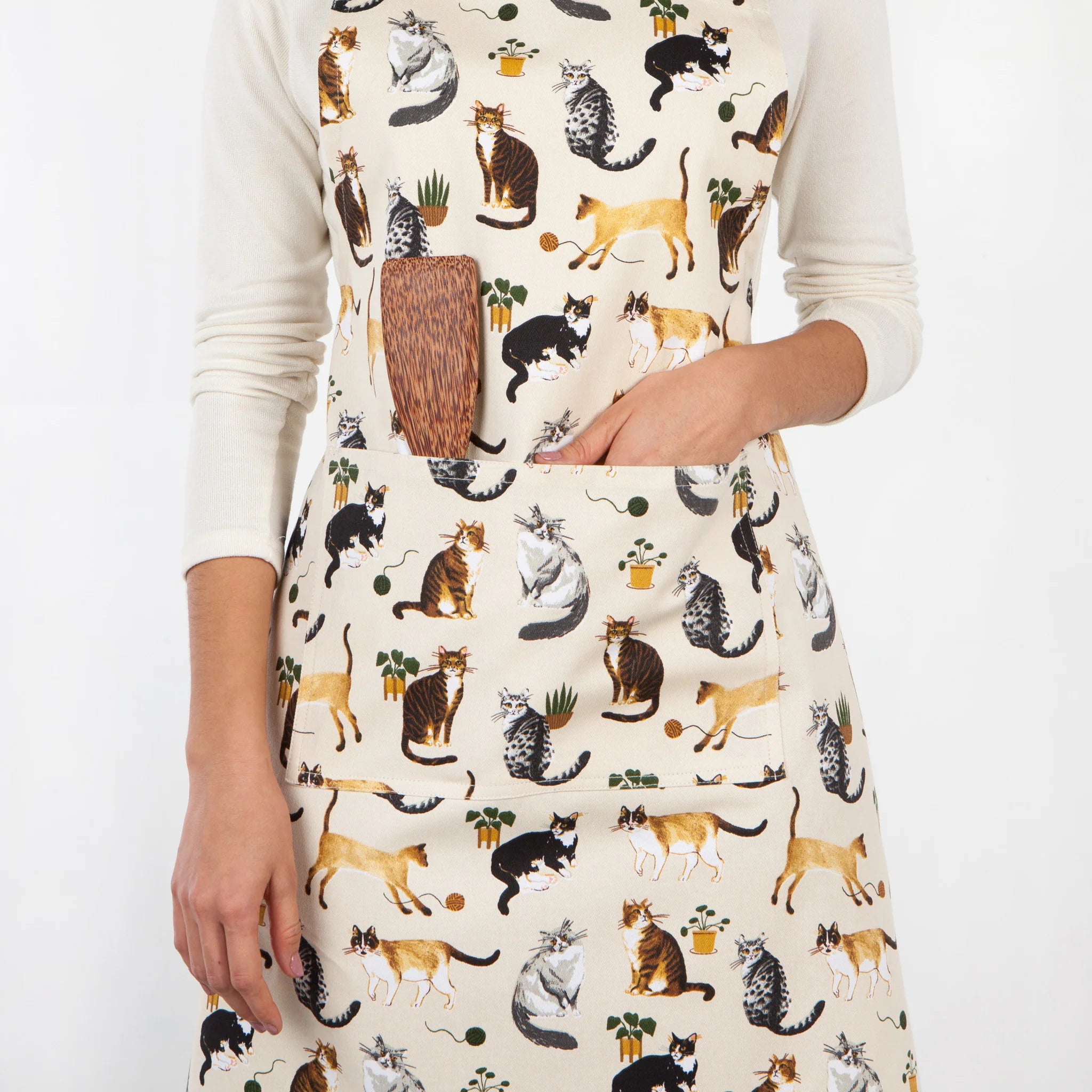 Danica   Schort cat collective